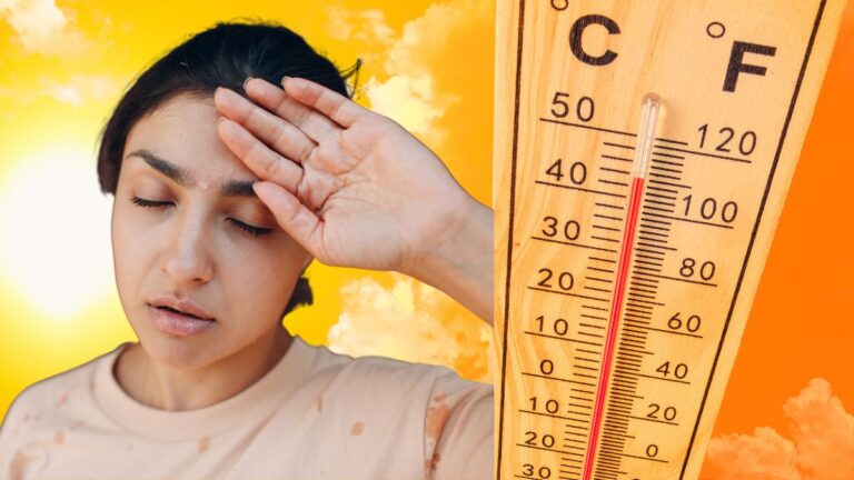 xr:d:DAEMfo9Q8sY:9061,j:2103202321,t:23040403